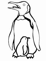 Penguin Coloring Penguins Pages Printable Template Baby Outline Kids Drawing Color Animals Print Animal Cartoon Sheets Clipart Book Chick Cliparts sketch template