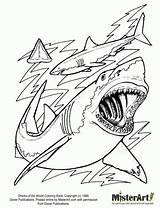 Coloring Shark Pages Printable Evolution Hungry Sharks Megalodon Print Jaws Adults Kids Scary Color Drawing Tiger Cartoon Great Bestcoloringpagesforkids Life sketch template