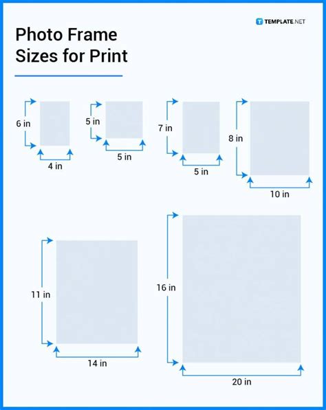 standard sizes  photo frames infoupdateorg