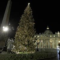 national tree  holy  vatican city vatican christmas tree symbol hunt