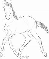 Trotting Foals Leave Reply sketch template