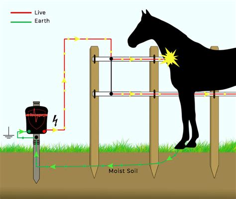 electric fencing  advice shockrite