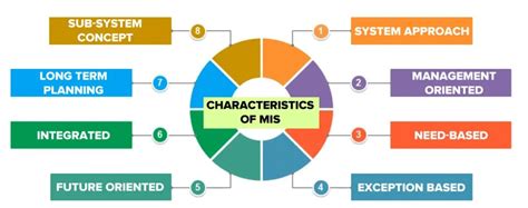 What Is Mis Meaning Definition Objectives Role [2020] Geektonight