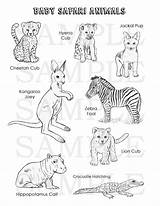 Safari Baby Coloring Animals sketch template