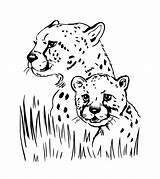 Jaguar Momjunction sketch template