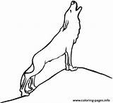 Wolf Coloring Howling Wolves Pages Drawings Simple Easy Printable Kids Clipart Book Print Cliparts Color Info Library sketch template