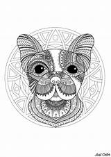 Mandala Coloring Dog Head Funny Mandalas Simple Background Pages Elegant Patterns sketch template