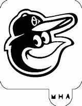 Coloring Pages Orioles Baltimore Oriole Getdrawings Personal sketch template
