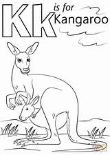 Kangaroo Preschoolers Supercoloring Uppercase Educational sketch template