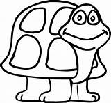 Turtle Coloring Shell Tortoise Wecoloringpage sketch template
