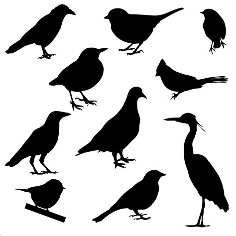 bird silhouettes  stock photo public domain pictures