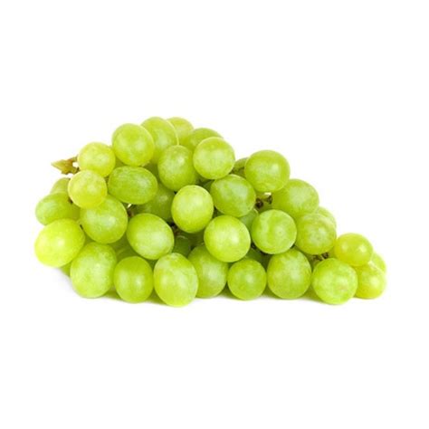 green seedless grapes  sunmoon direct