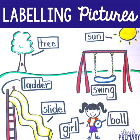 labeling pictures  kindergarten   primary