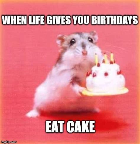 Eat Cake On Your Birthday Birthday Humor Happy