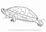 Slider Red Eared Draw Drawing Step sketch template