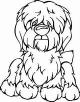 Sheepdog Angrysquirrel Myshopify sketch template
