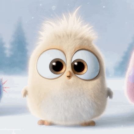 hatchlings gif  angry birds find share  giphy