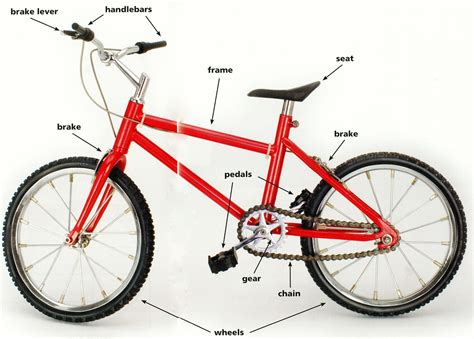 bike parts diagrams  diagrams