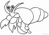 Crab Hermit Ausmalbilder Einsiedlerkrebs Printable Cool2bkids sketch template