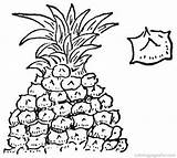 Coloring Pineapple Pages Library Clipart Printable sketch template