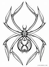 Spinne Widow Spinnen Arañas Malvorlage Malvorlagen Cool2bkids Clipartmag Araña Bedroom sketch template