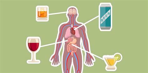 effects of alcohol on the body and brain business insider