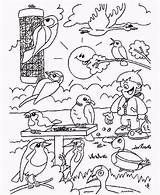 Vogels Kleurplaten Kleurplaat Mandala Ausmalbild Waldtiere Tiere Vogeltjes Downloaden Bezoeken Kleuren Uitprinten sketch template