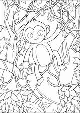 Jungle Monkeys Singe Monos Scimmie Malbuch Erwachsene Fur Adultos Singes Adulti Justcolor Lianes Branches Joli Milieu Feuilles Coloriages Leaves Walking sketch template