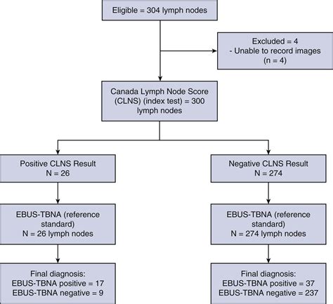 The Canada Lymph Node Score For Prediction Of Malignancy In Mediastinal