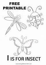 Insects Planned Pack sketch template