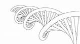 Dna Perspective Coloring Wecoloringpage sketch template