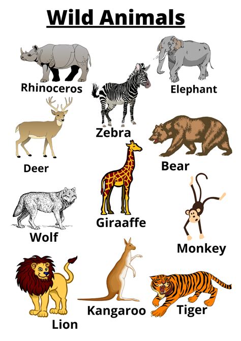 kindergarten animal worksheet domestic animal wild animals
