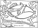 Coloring Hawaiian Fish Pages Printables Colouring State Printable Kids Popular Print Coloringhome Comments sketch template