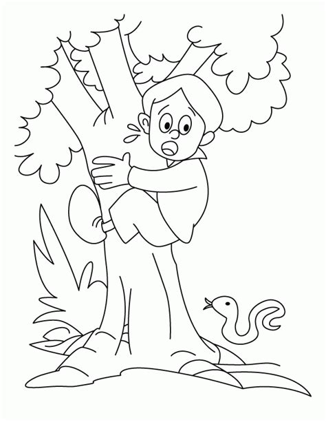 climb  tree coloring clip art library