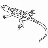 Gecko Coloring Pages Simple sketch template
