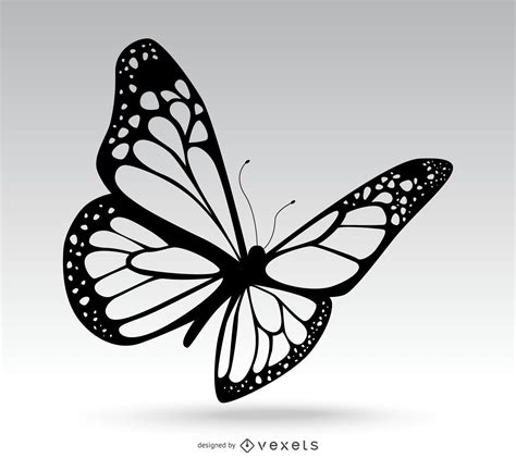 isolated butterfly drawing vector