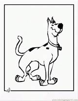 Scooby Ausmalbilder Coloringpages101 sketch template
