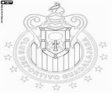 Chivas Imprimir Escudo Mexicano Emblema Seleccionar sketch template