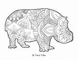 Mandala Coloring Animal Hippo Pages sketch template