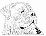 Coloring Mastiff sketch template