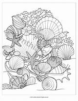 Seashells Seashell Sommer Mermaids Ocean Pinturas Erwachsene Coloringideas sketch template