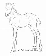 Foal Horse Coloring Pages Getdrawings sketch template