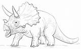 Triceratops Triceratop Triceratopo Colorare Ausmalbilder Dinosaurio Dinosaurier Ausmalbild Dinosaurios Cuernos Malvorlagen Supercoloring Ausdrucken Kostenlos Disegno Pintar Bebeazul Dinosauri Dinosaurus Zeichnen sketch template