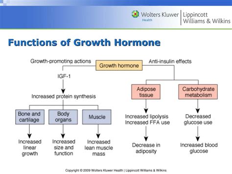 Ppt Chapter 31 Disorders Of Endocrine Function Powerpoint