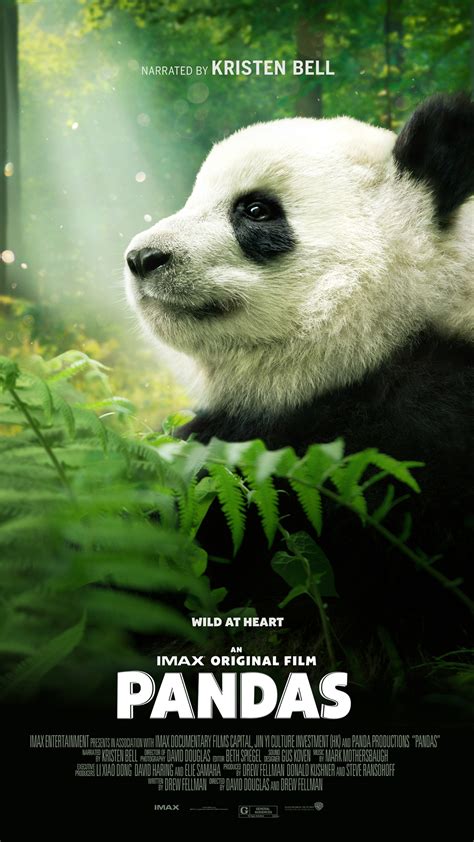 pandas the imax documentary opening 8 17 and free educational guide mom does reviews