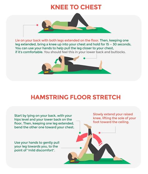 Back Pain Exercises X2 Stretches Body Balance Physical
