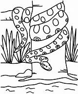 Anaconda Sheet sketch template