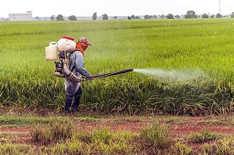 Top Pesticide Using Countries