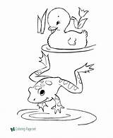 Frog Coloring Pages Printable Children sketch template