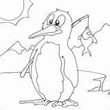 Penguin Coloring Pages Colouring Little Chilly Kids Billy Animal Print Cartoon Coloringkids sketch template